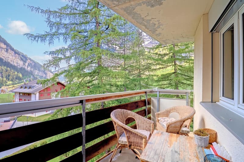 SPACIEUX 4.5 PIÈCES AVEC VUE PANORAMIQUE SUR LES MONTAGNES (9)