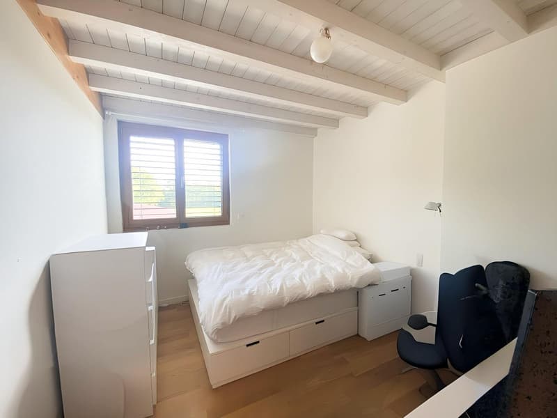 Geräumige 6-Zimmer-Dachgeschosswohnung in Bernex (5)