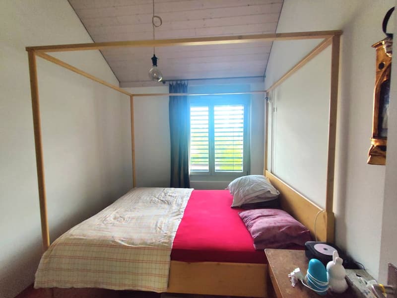 Bello appartamento di 5.5 locali ad Aire-la-Ville (4)