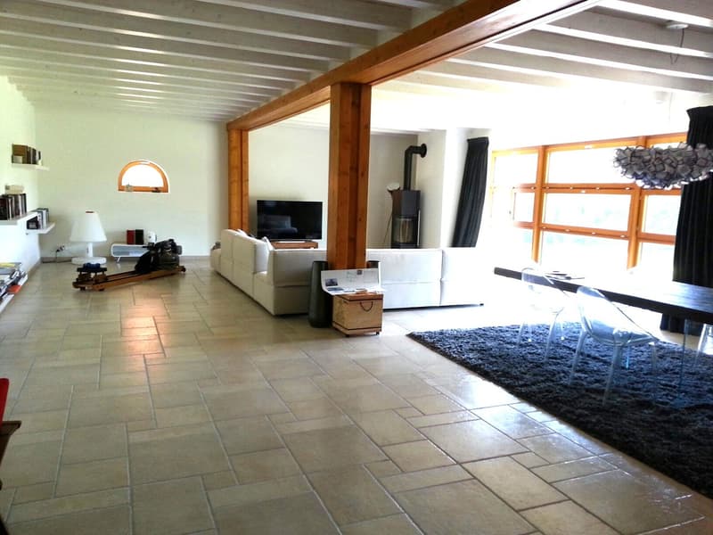 Magnifique appartement traversant de 6 pièces à Cartigny. (2)