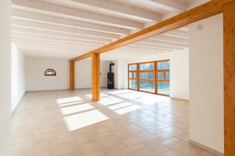 Magnifique appartement traversant de 6 pièces à Cartigny. (1)