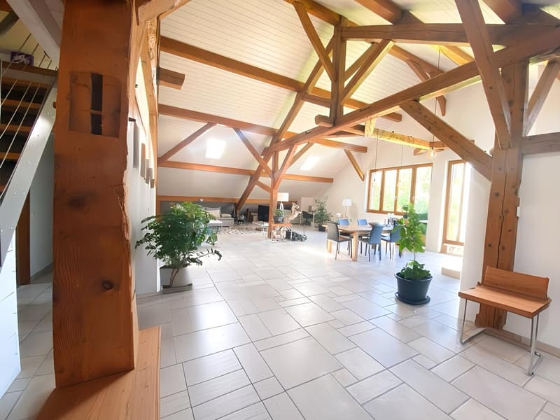 Charmant appartement de 6 pièces au dernier étage d'une ferme rénovée (7)