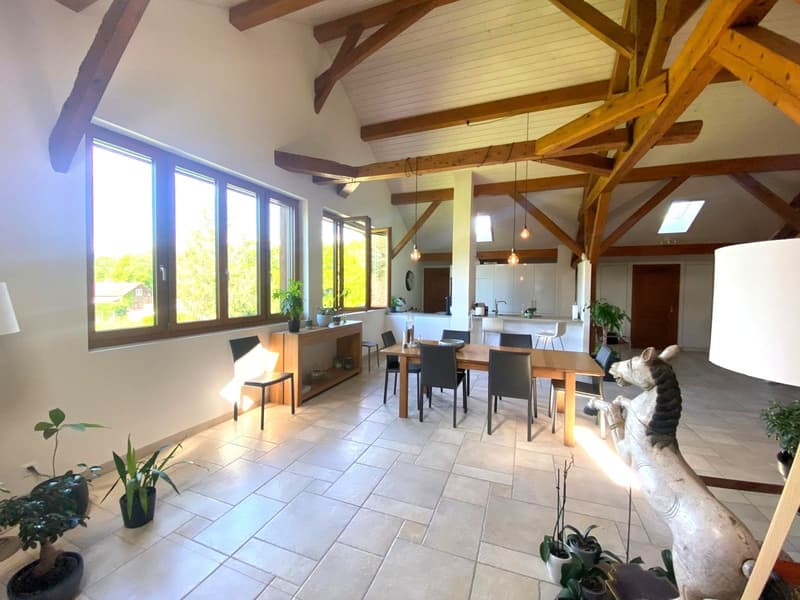 Charmant appartement de 6 pièces au dernier étage d'une ferme rénovée (5)