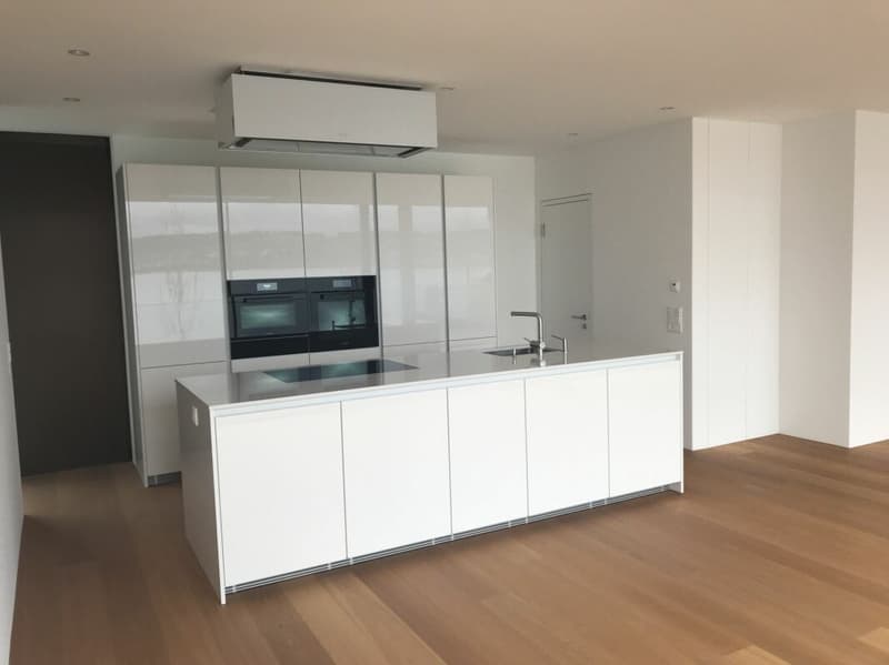 Peninsula Beach House - Pure Luxury on Lake Zurich (4)