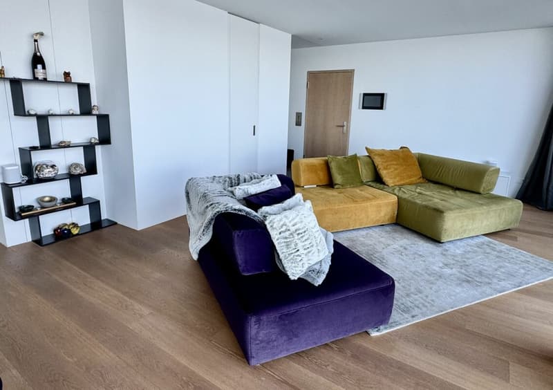 Peninsula Beach House - Pure Luxury on Lake Zurich (3)