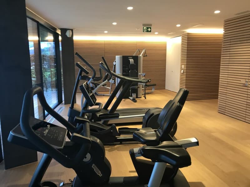 Peninsula Beach House - Pure Luxury on Lake Zurich (7)