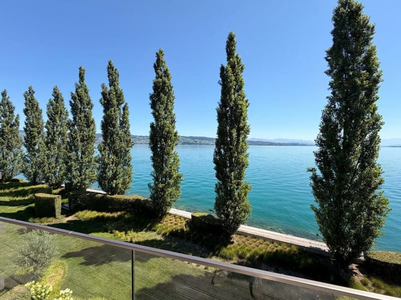 Peninsula Beach House - Luxus pur am Zürichsee (2)