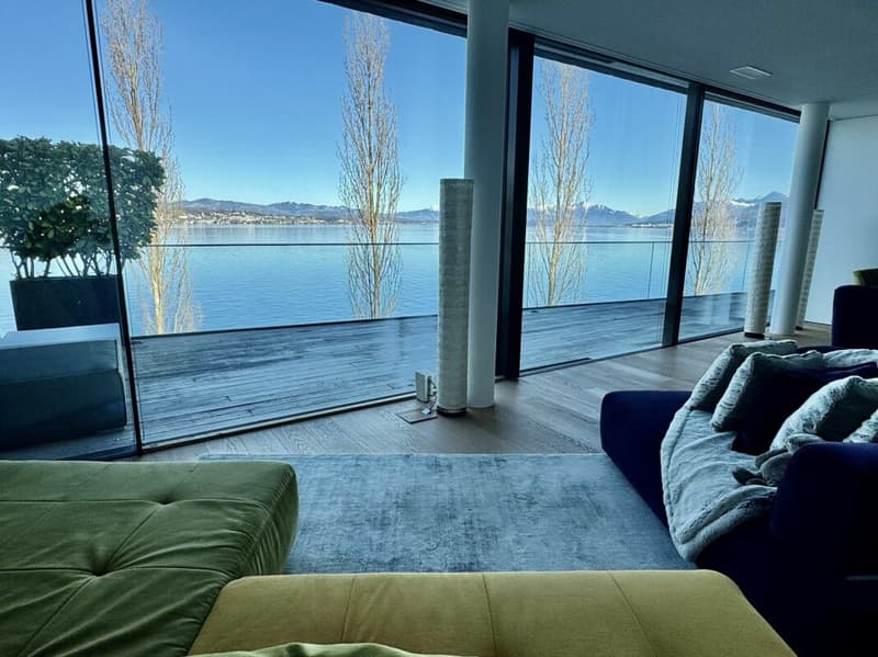 Peninsula Beach House - Pure Luxury on Lake Zurich (2)