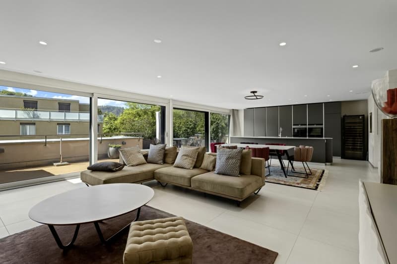 Penthouse apartment with exclusive interior design (3)
