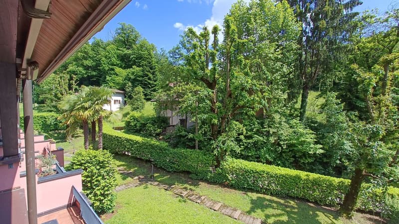 green lawn, hedges, trees, pathway, distant house