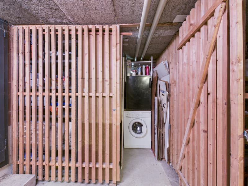 Storage room with wooden walls, shelves, washing machine, refrigerator, and various items