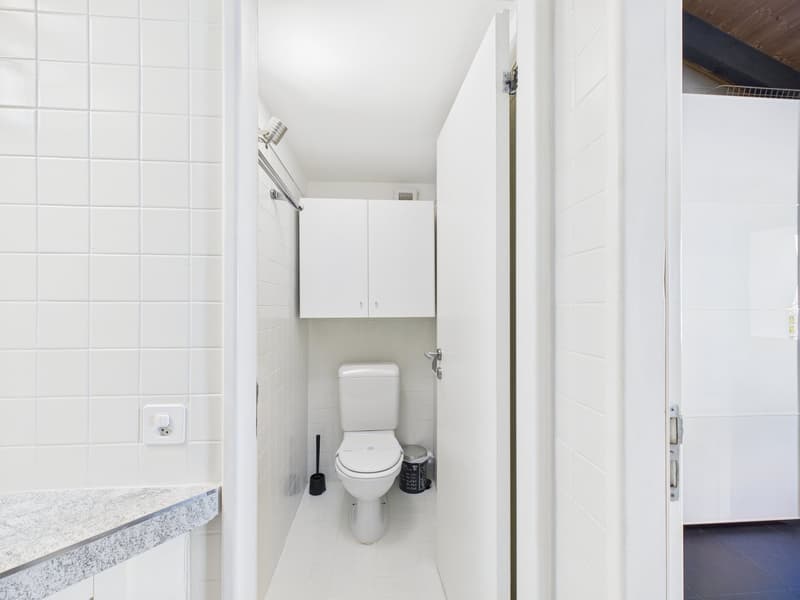 small bathroom with toilet, cabinets, and a sink