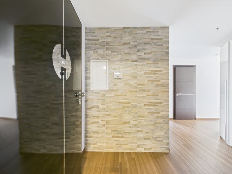 AMPIO E LUMINOSO APPARTAMENTO DI 4,5 LOCALI IN RESIDENZA SIGNORILE (2)
