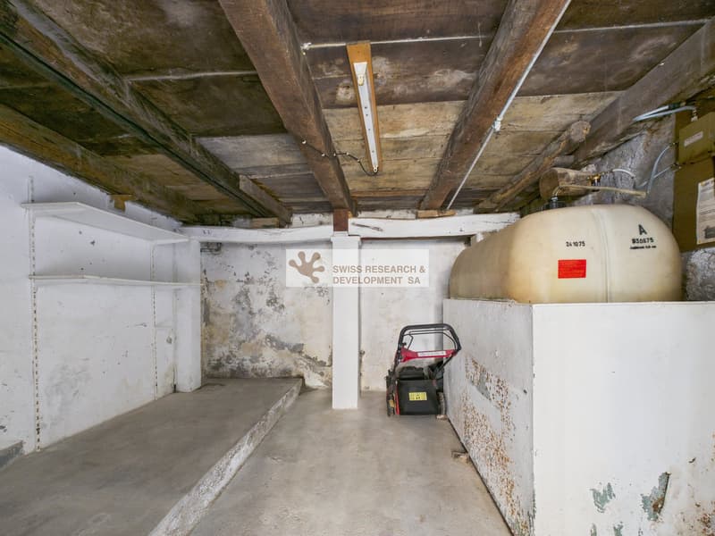 basement room, concrete floor, wooden ceiling, white walls, storage shelves, large white tank, red lawn mower