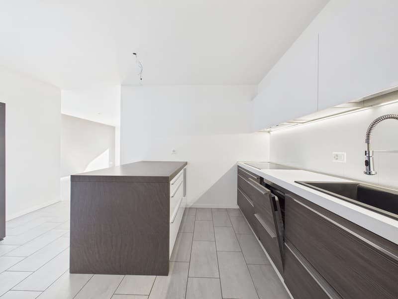 CASA CONTIGUA SU 3 PIANI CON GIARDINO E SPAZIO IDEALE PER STUDIO O ATTIVITA' INDIPENDENTE (9)