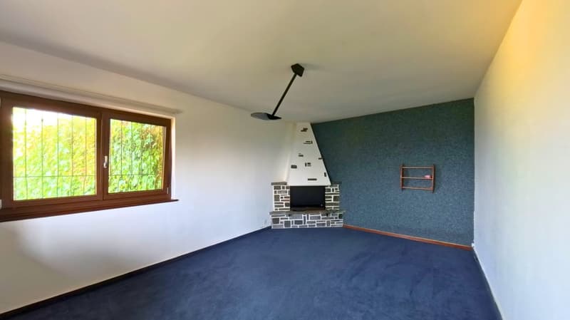 empty room, fireplace, blue carpet, white walls, window