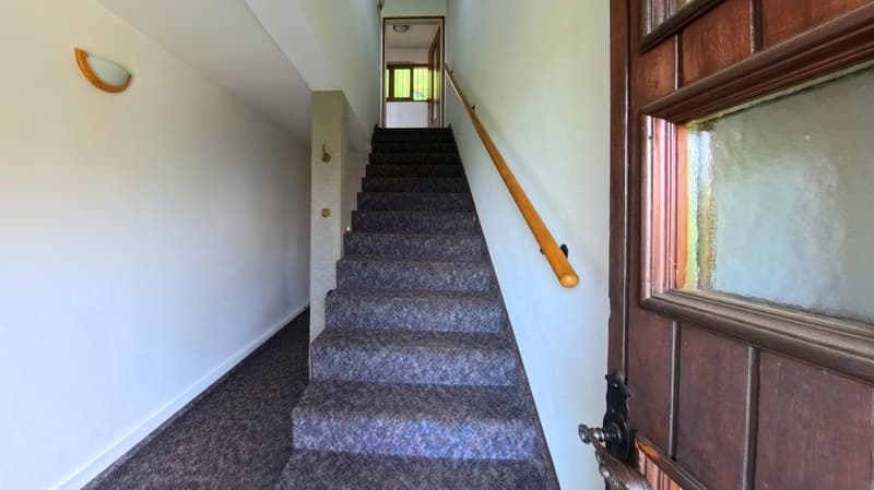 Carpeted staircase with wooden handrail, white walls, wooden door