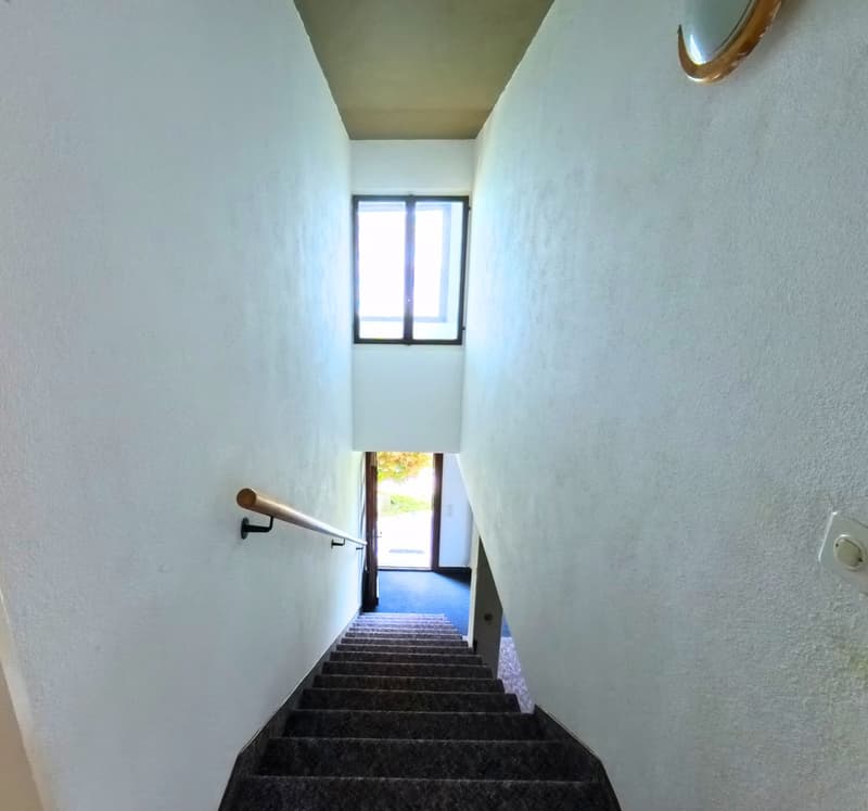 white walls, grey carpet, wooden handrail, window
