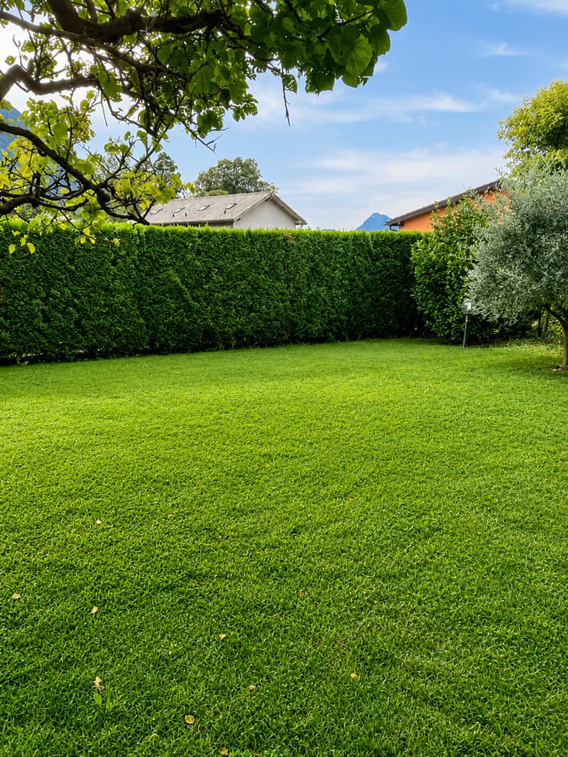 Belle maison unifamiliale avec jardin privé (3)