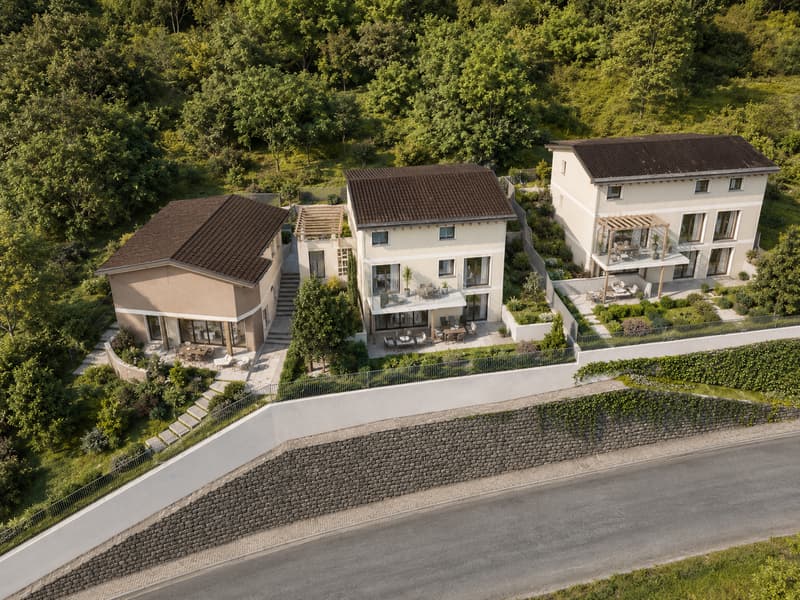 NUOVO PROGETTO: AMPIA CASA UNIFAMILIARE CON GIARDINO (3)