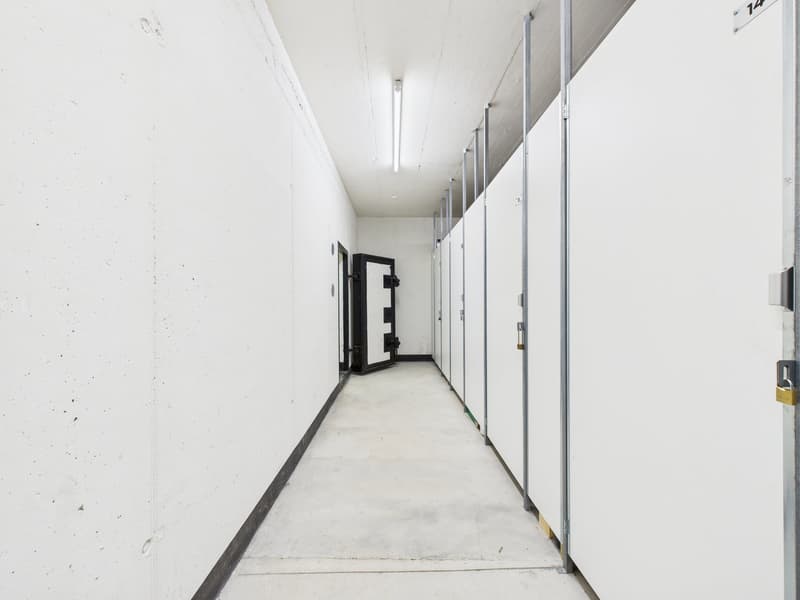ELEGANTE APPARTAMENTO DI 4,5 LOCALI IN RESIDENZA SIGNORILE (22)