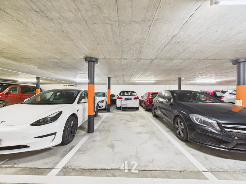 ELEGANTE APPARTAMENTO DI 4,5 LOCALI IN RESIDENZA SIGNORILE (19)
