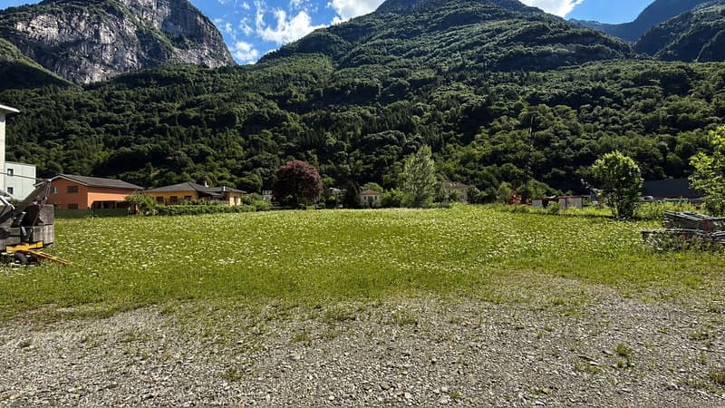 TERRENO EDIFICABILE A DESTINAZIONE ARTIGIANALE-INDUSTRIALE PARCELLABILE (2)