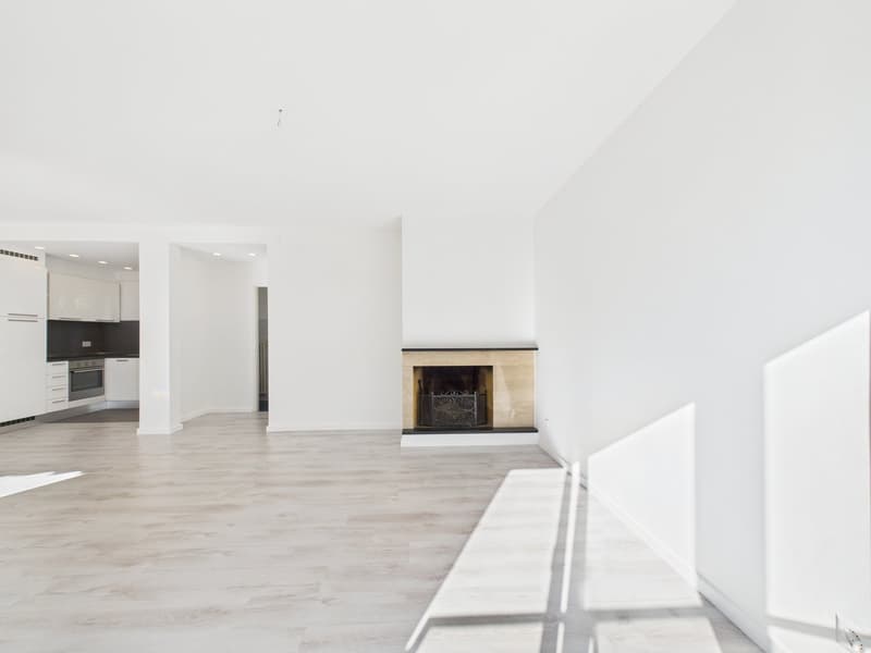 PRESTIGIOSA CASA INDIPENDENTE CON VISTA SUL LAGO DI LUGANO - AUCH ALS ZWEITWOHNSITZ VERFÜGBAR (7)