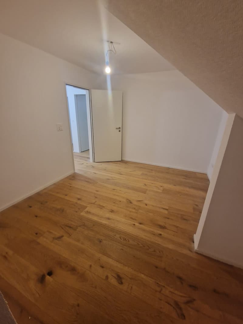 empty room, wooden floor, white walls, white door, light fixture