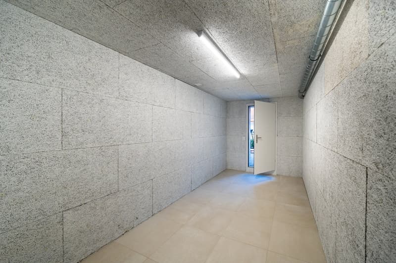 Superbe appartement loft dans le quartier de Linden (9)
