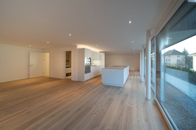 Superbe appartement loft dans le quartier de Linden (1)