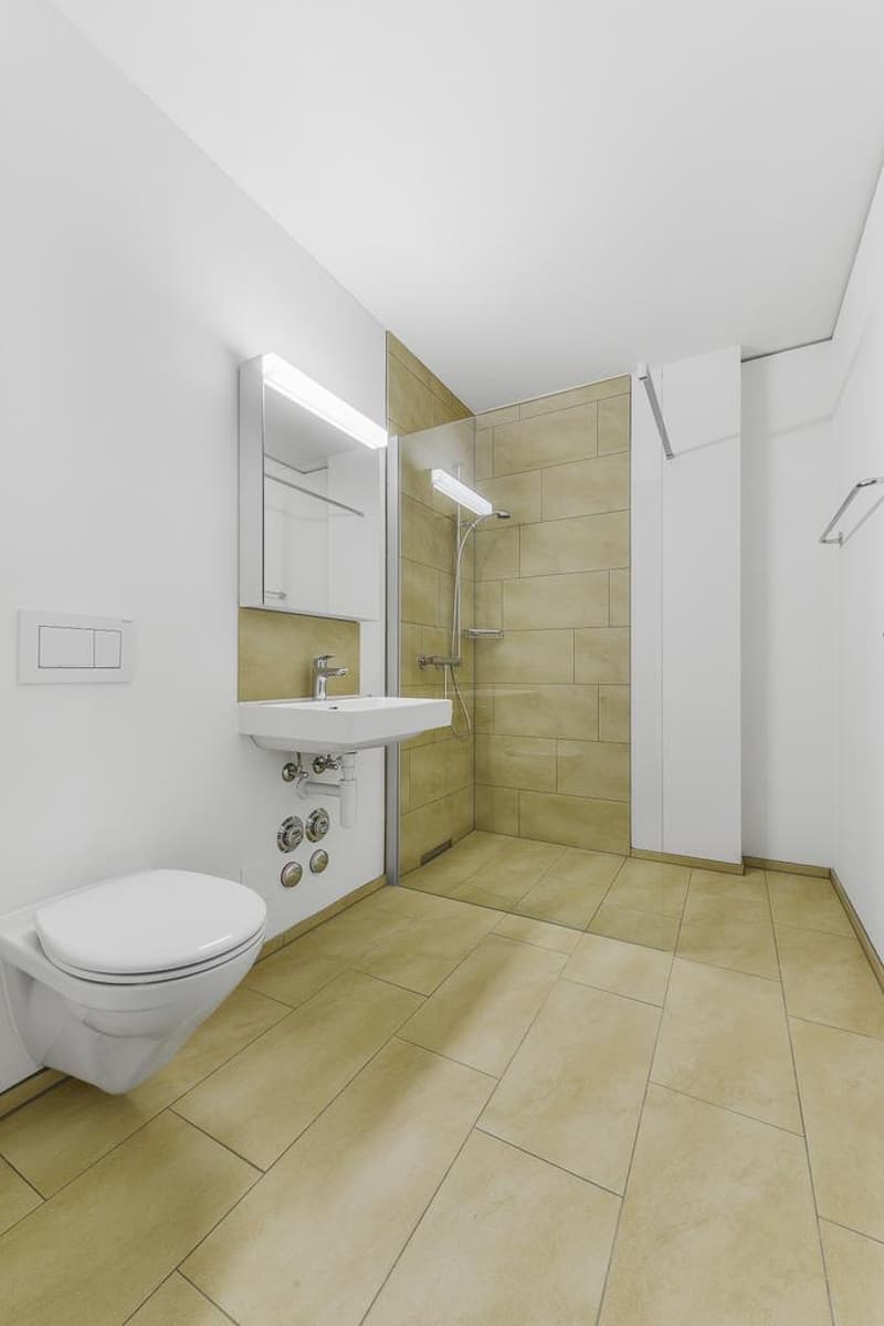 Appartamento moderno 2.5 locali (3)