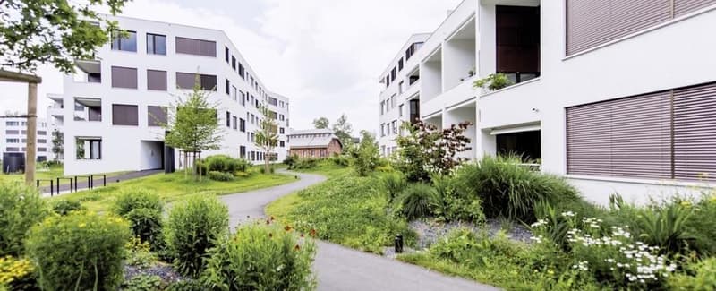 Grosszügige und helle 4.5-Zimmer-Wohnung im beliebten Suurstoffi-Areal (1)