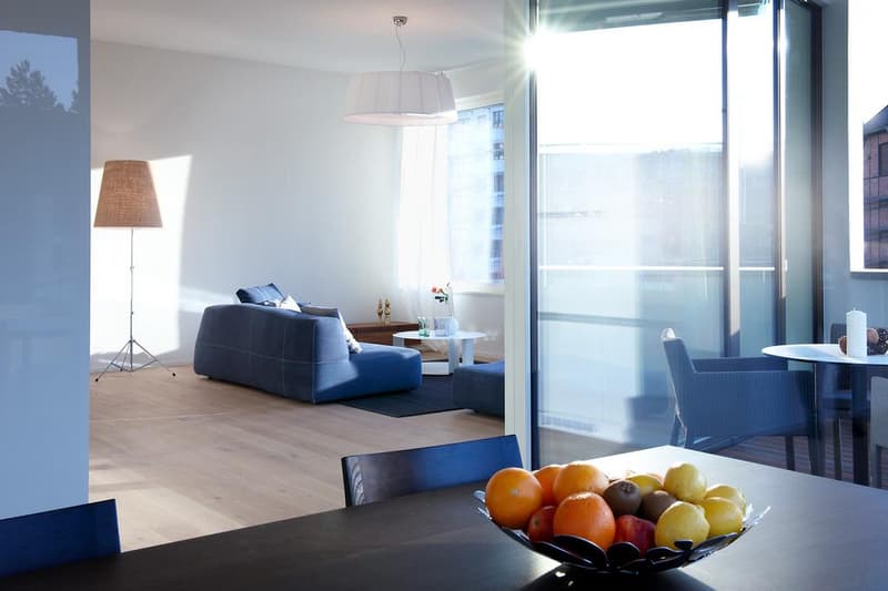 Grosszügige und helle 4.5-Zimmer-Wohnung im beliebten Suurstoffi-Areal (4)