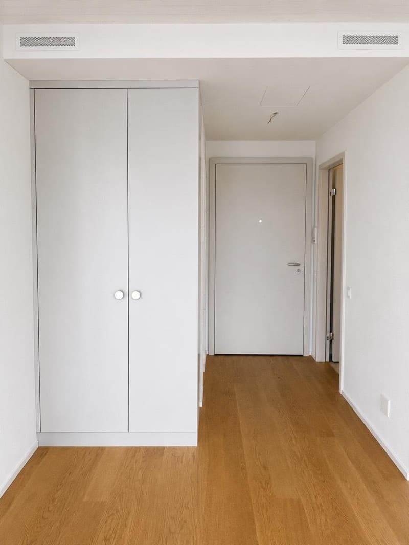 Grosszügige, helle und moderne 1.5-Zimmer-Wohnung (6)
