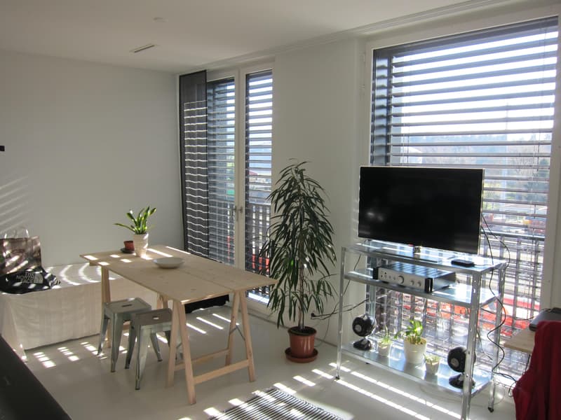 Grosszügige und helle 1.5-Zimmer-Studiowohnung im Suurstoffi-Areal (5)