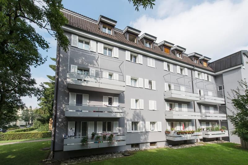 Gemütliche 3-Zimmerwohnung im Herzen der Stadt Zug (1)