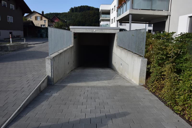 Garageneinfahrt.png