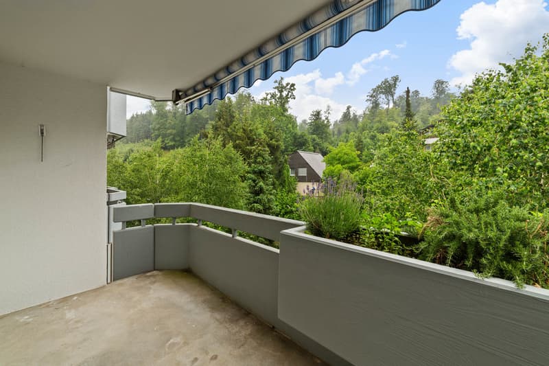 Balkon_24108.png