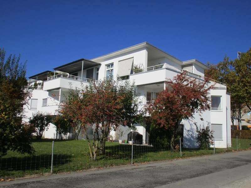 03976_Aussenansicht_hinten.JPG
