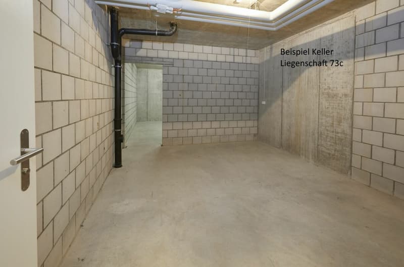 Sunny 4.5-room apartment with balcony 28 m2 (15)