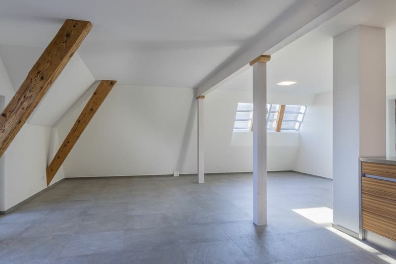 Spacious 4.5-room apartment (including carport & parking space) (6)
