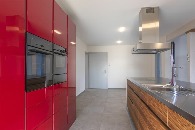 Spacious 4.5-room apartment (8)