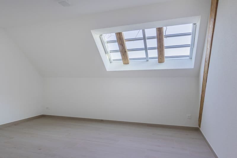 Spacious 4.5-room apartment (10)