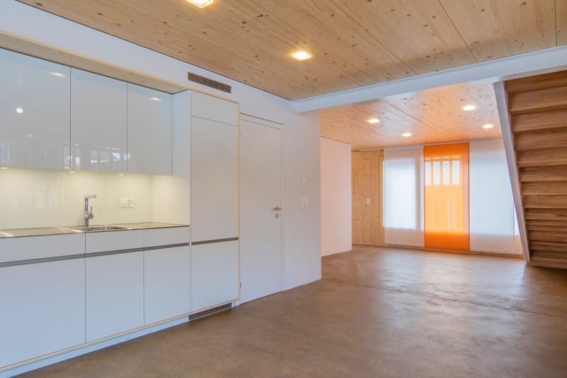Top modern Stöckli with garden share (condominium) (9)