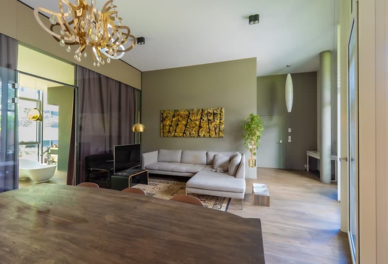 Exclusive loft apartment with wellness area, garden, and underground parking (3)