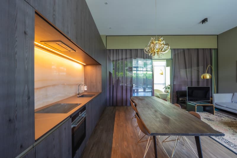 Exclusive loft apartment with wellness area, garden, and underground parking (1)