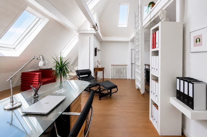 Stylish Basel city villa with garden and converted attic (3)