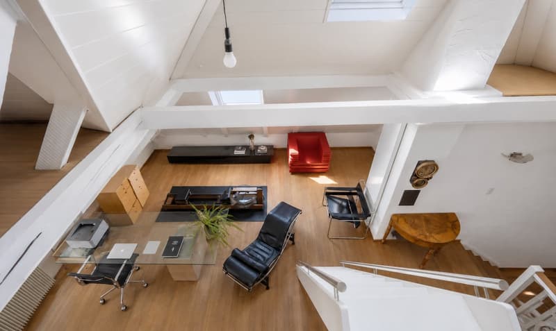 Stylish Basel city villa with garden and converted attic (2)