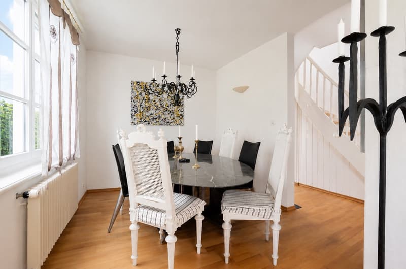 Stylish Basel city villa with garden and converted attic (6)